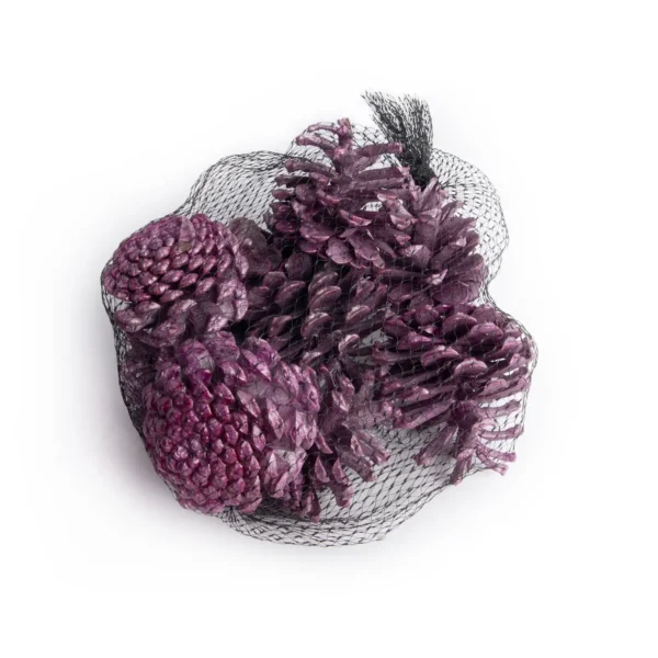 Austriaca cones in net metallic berry