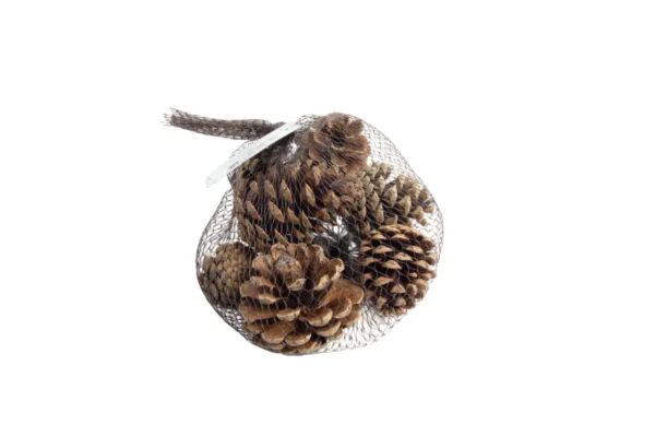 Austriaca cones natural