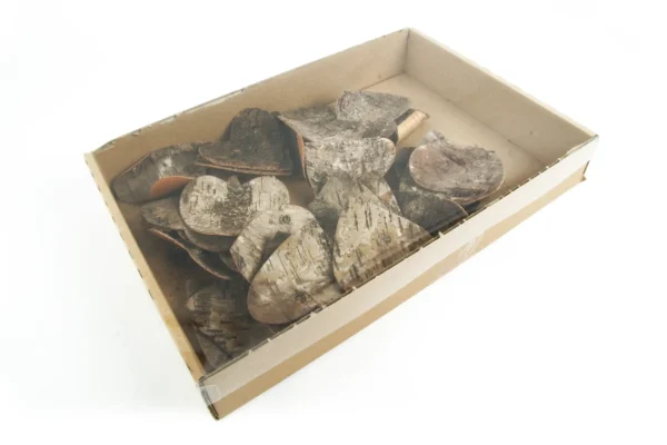 Hearts birch bark 10 cm natural