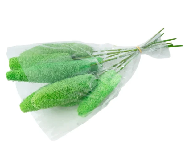 Luffa o/st. apple green