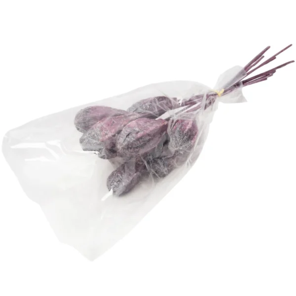 Mehogni o/st. pearl washed brombeer