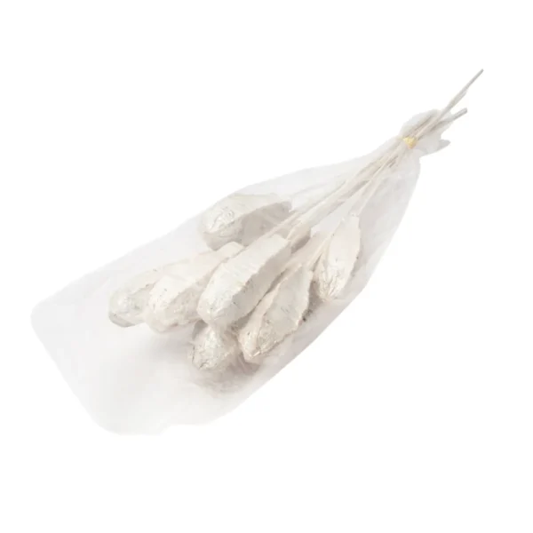 Mehogni o/st. pearl washed white