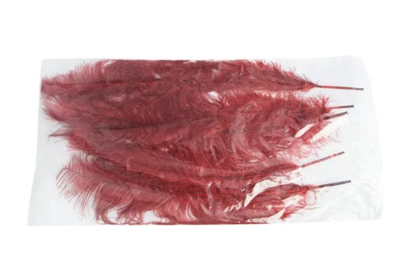 Ostrich feathers large bordeaux