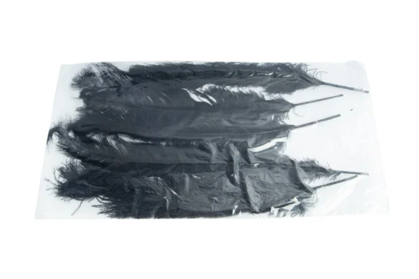 Ostrich feathers large black