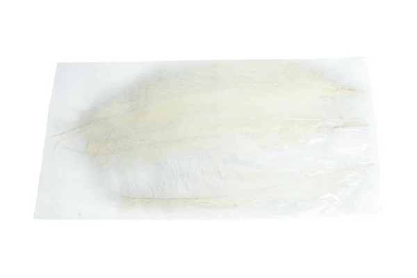 Ostrich feathers large cream