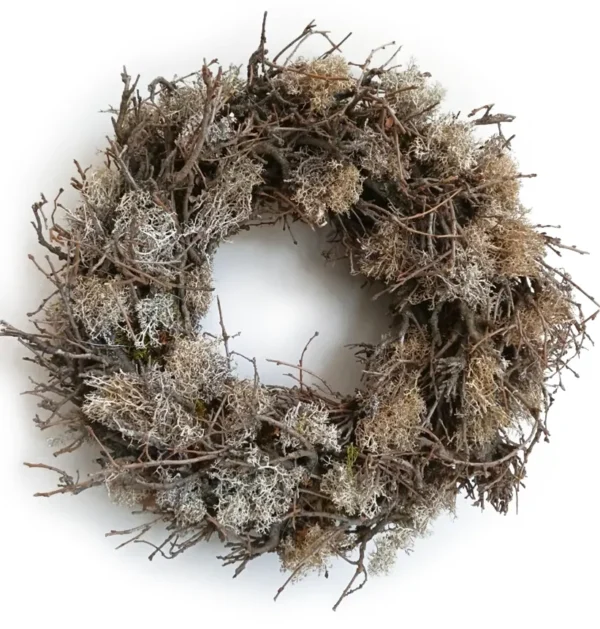 Wreath bonsai wood/hedgehog moss preserved 45 cm misty white